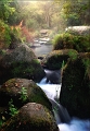 Paysage 27_09_09n01